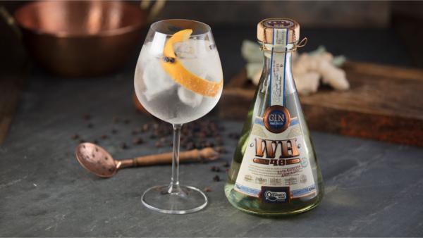Projeto Gin WH 48 Weber Haus